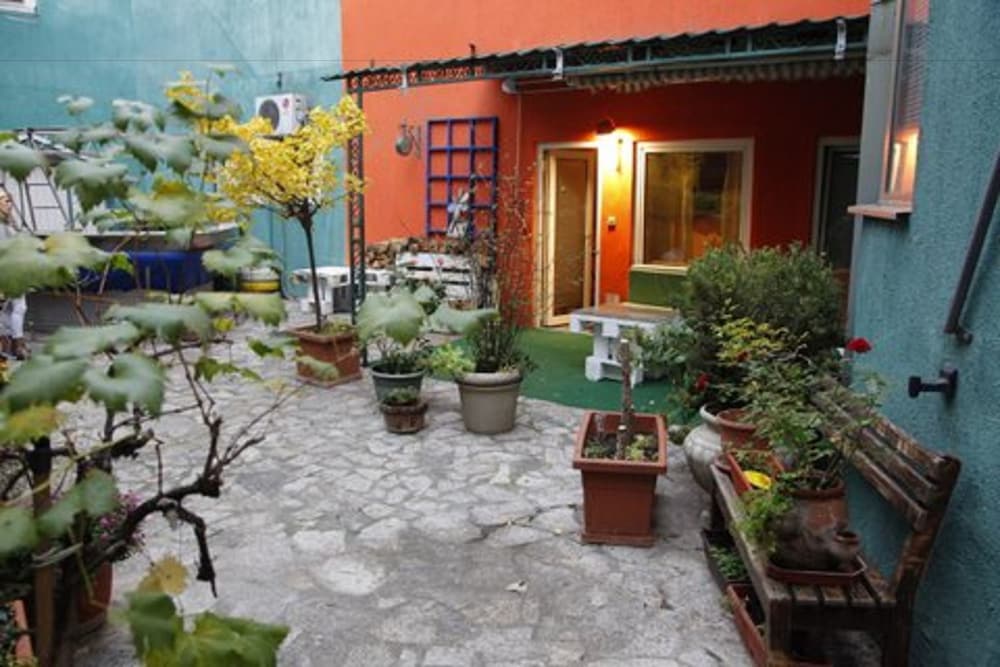 Guest House Vida