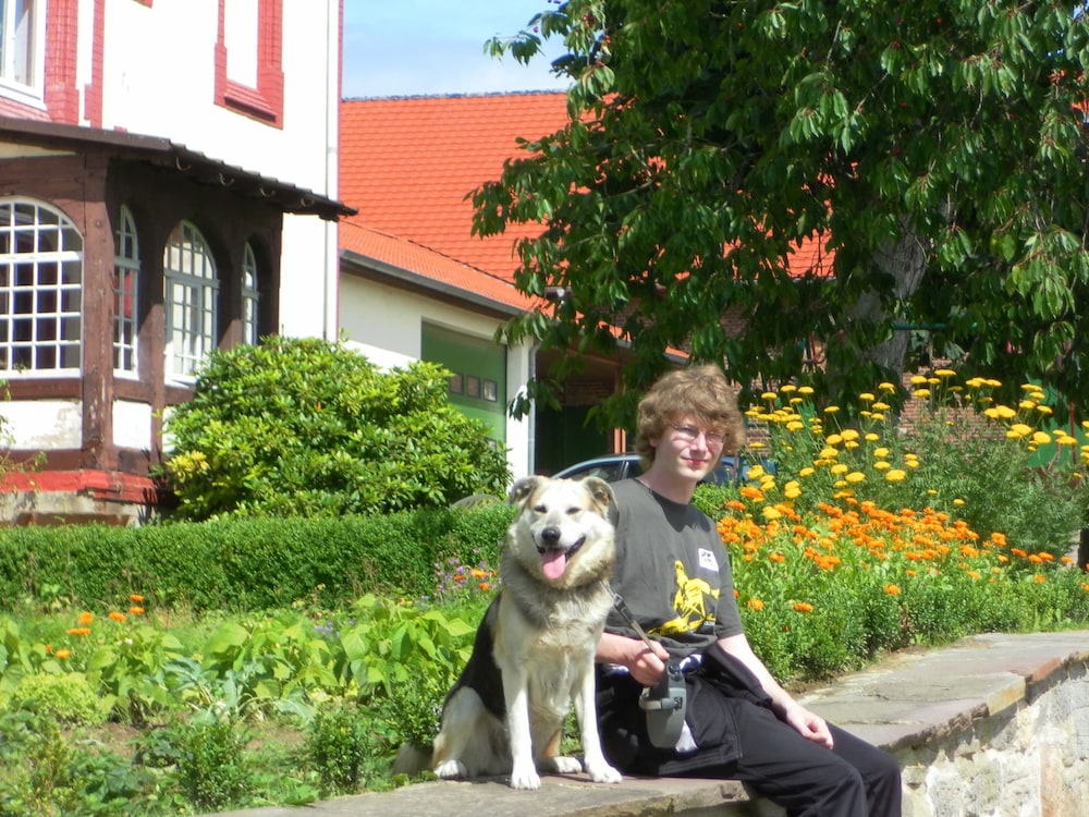 Photo 8