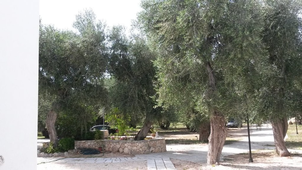 Tenuta Santa Maria