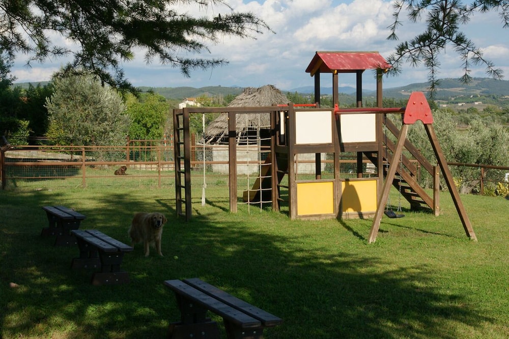 Photo 23