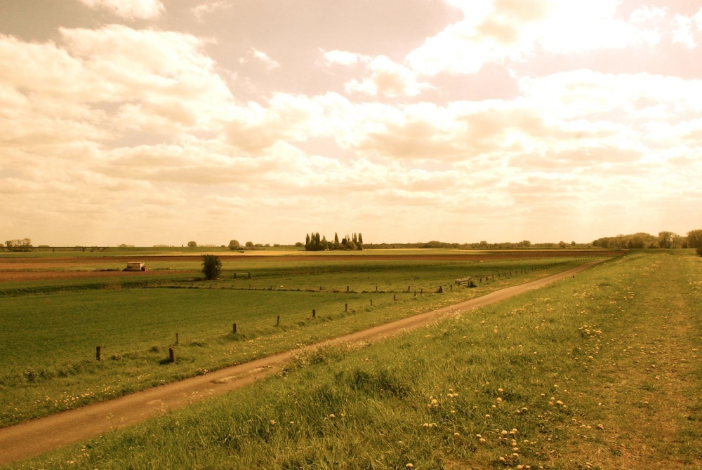 B&B Henne v.d Enne, photo 18