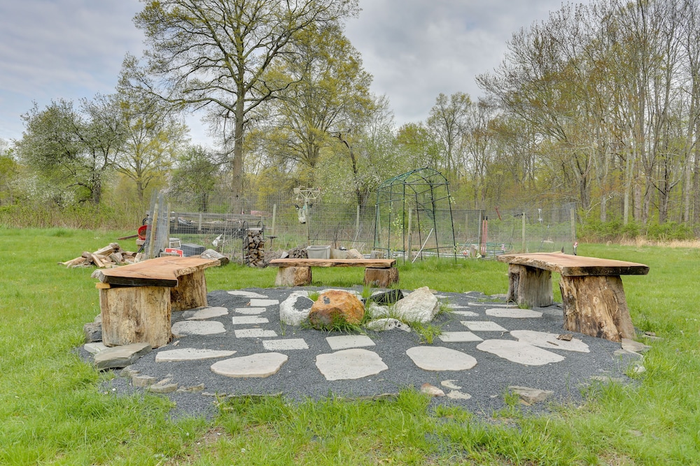 Pet-friendly Grand Pine Bush Retreat on 2 Acres! - Property Image 9