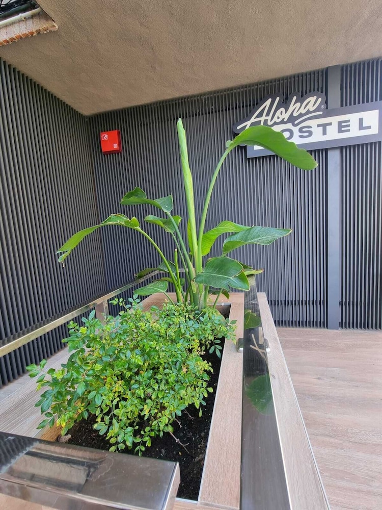 Cantabria Surf Hostel