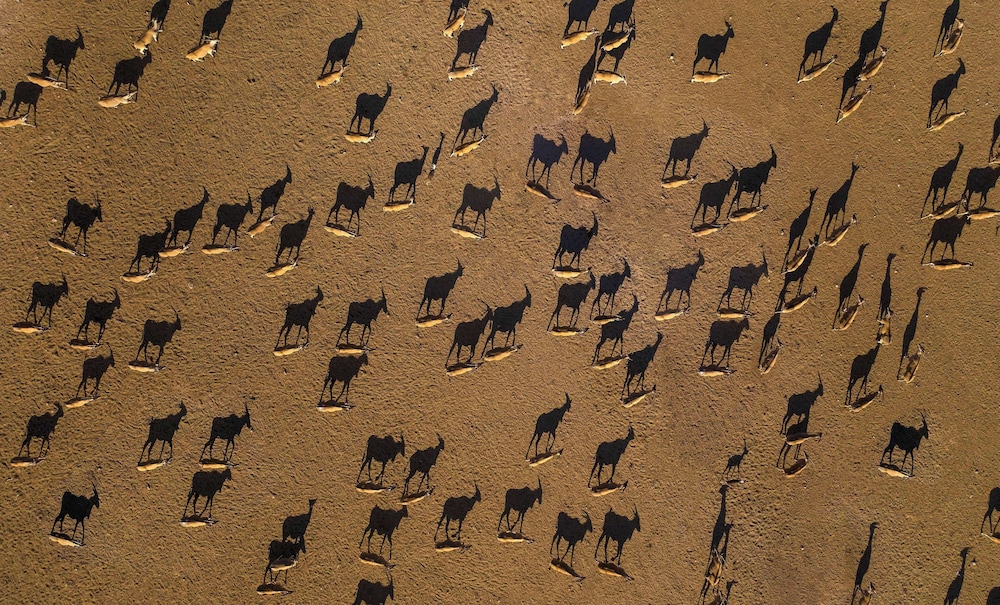 Anantara Al Sahel Villa Resort