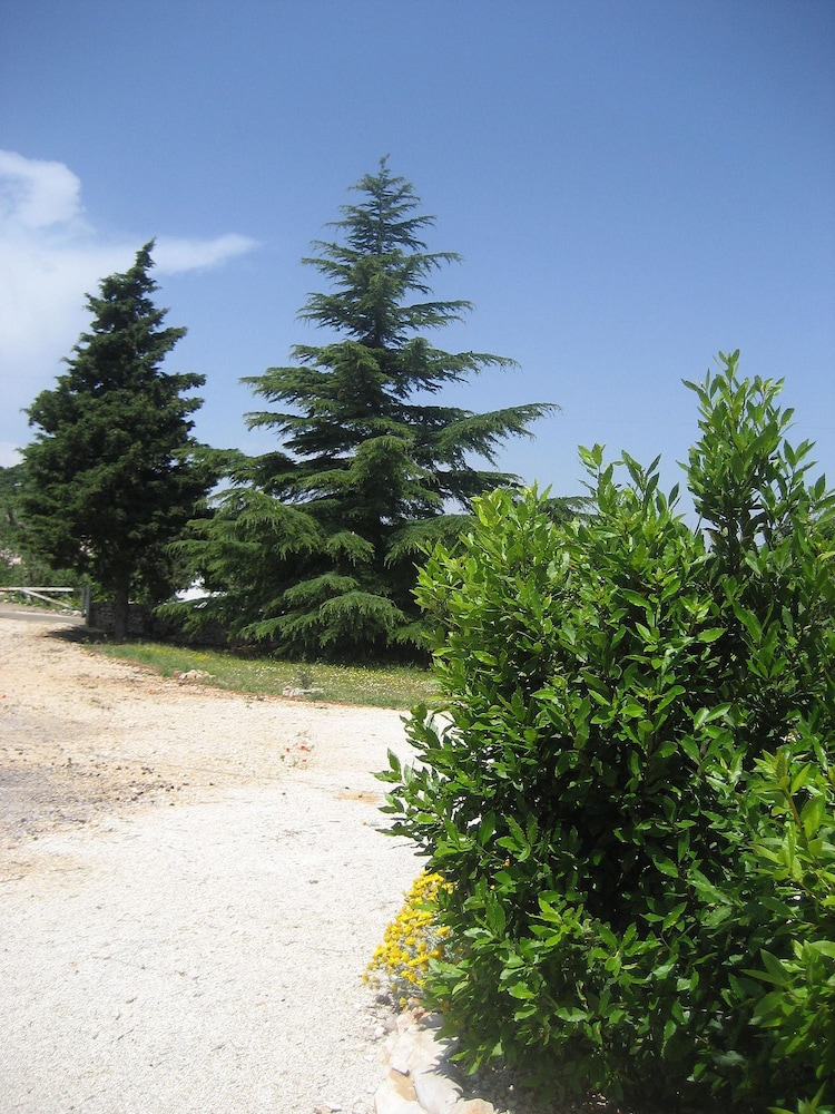 Masseria Due Torri view 5