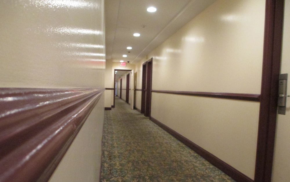 Photo 46