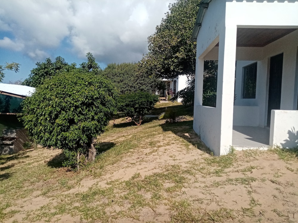 Photo 39