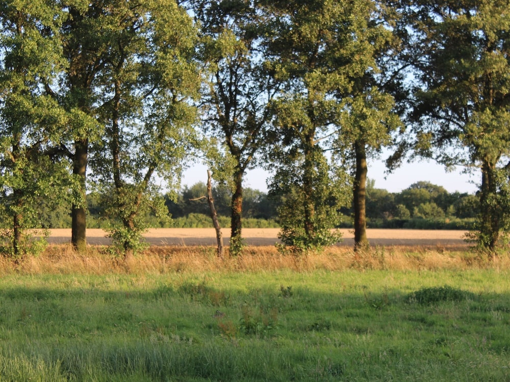 Farmhouse in De Heurne With Animal Farm