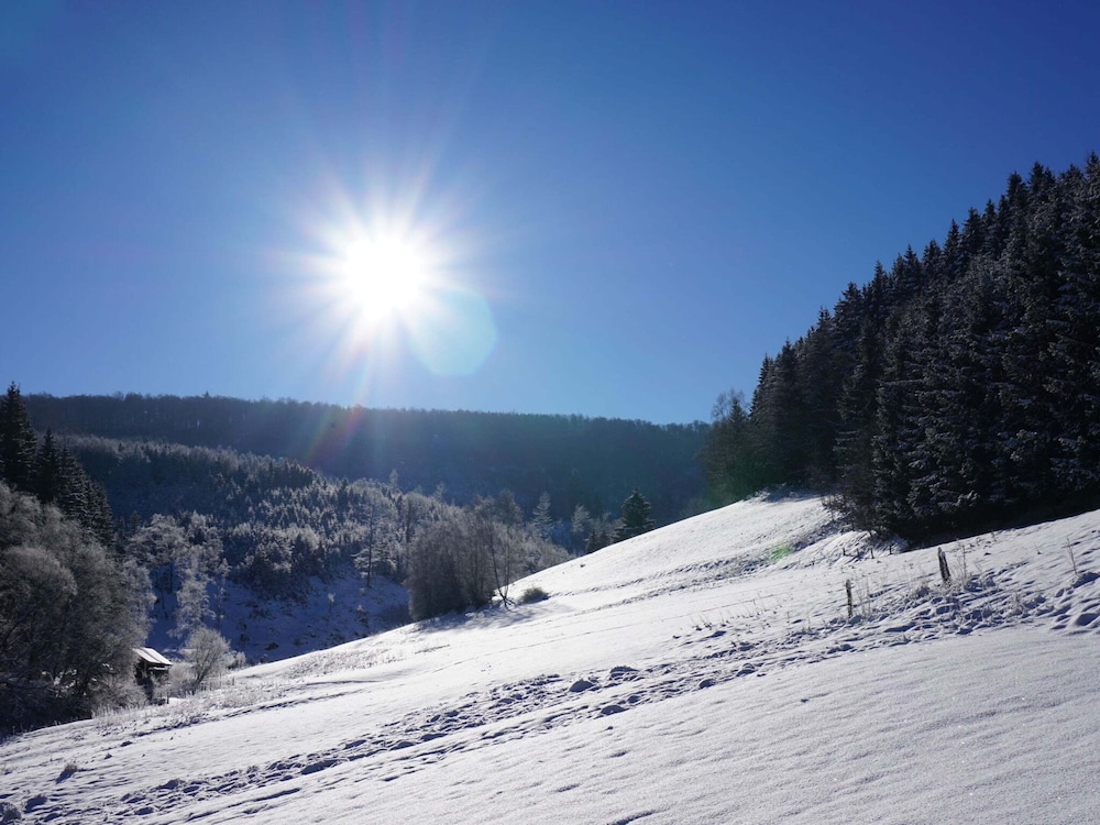 Exclusive Group House in Winterberg in the Forest
