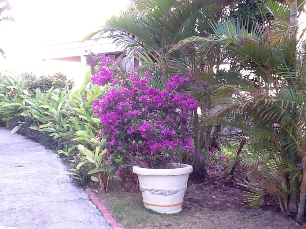 Seabliss Villa