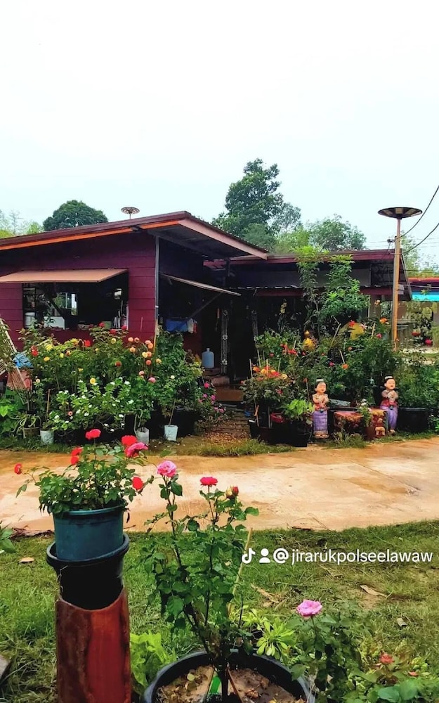 Phulunngkhawiew Homestay view 2
