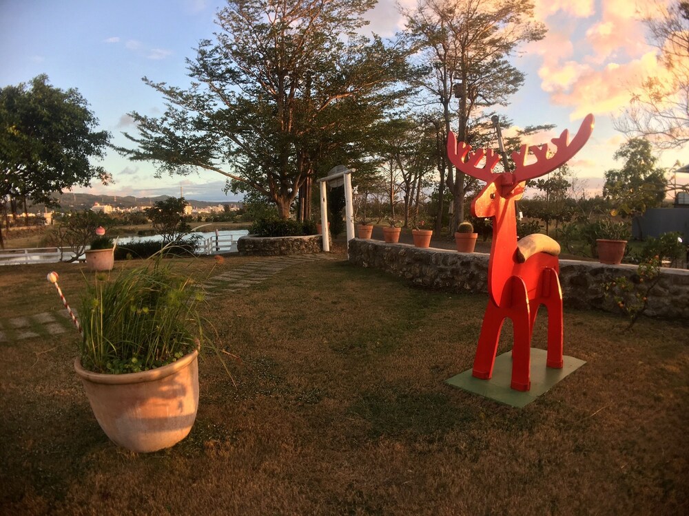 Wild Island B&B
