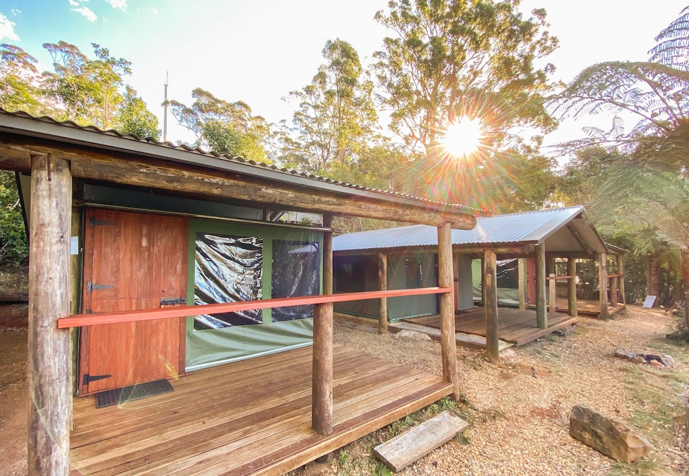 Binna Burra Rainforest Campsite view 4