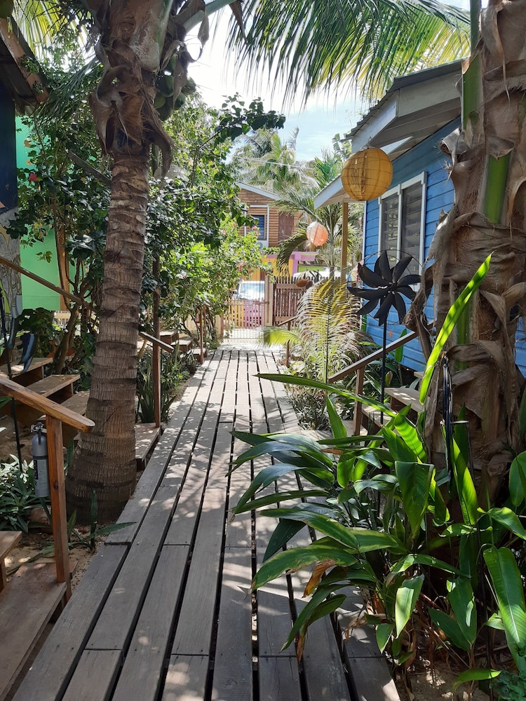 The Funky Dodo Backpackers