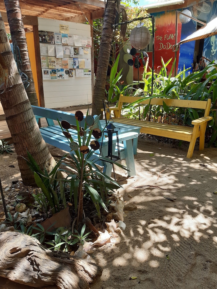 The Funky Dodo Backpackers