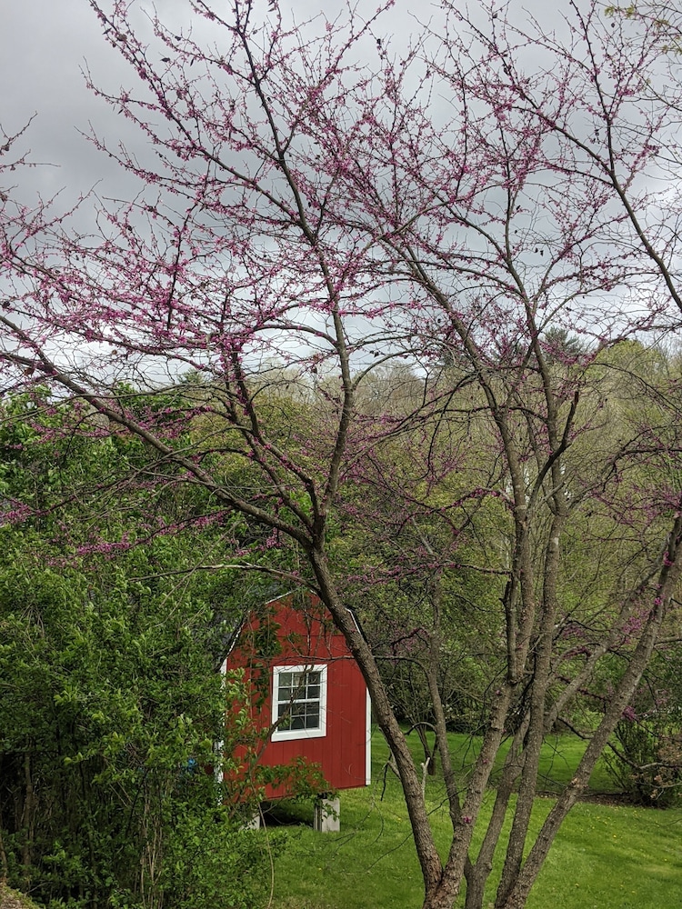The Anderson Cottage Bed & Breakfast