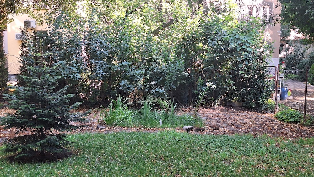 Photo 47