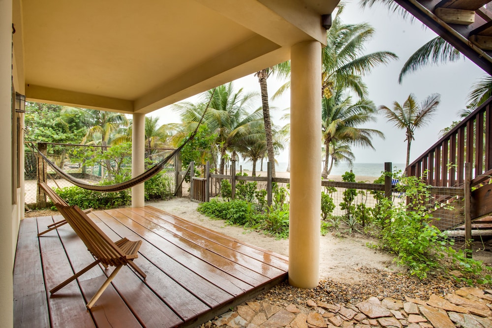 Buttonwood Belize
