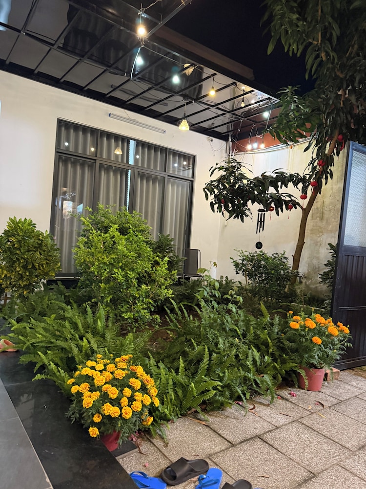 HOMESTAY HALONA