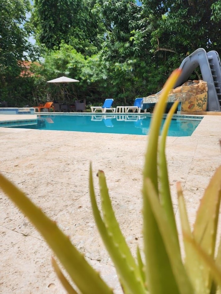 Caribbean Shores Bed & Breakfast
