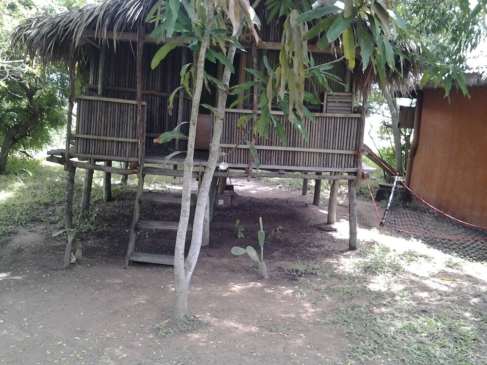 Barbara's Village