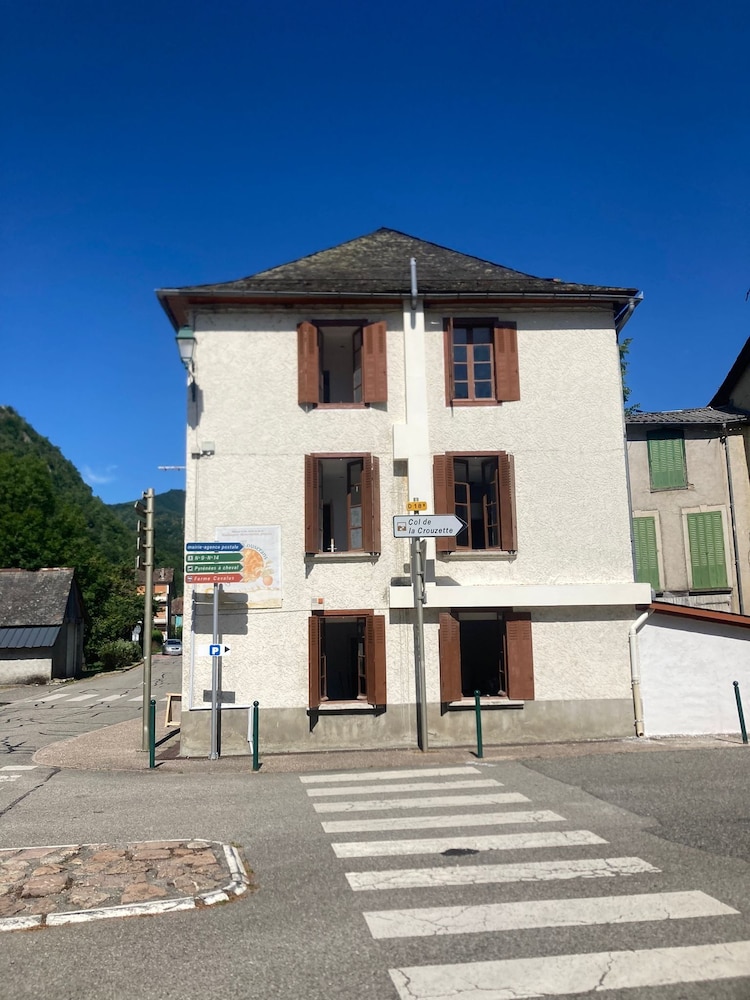 Pyrenean Pursuits