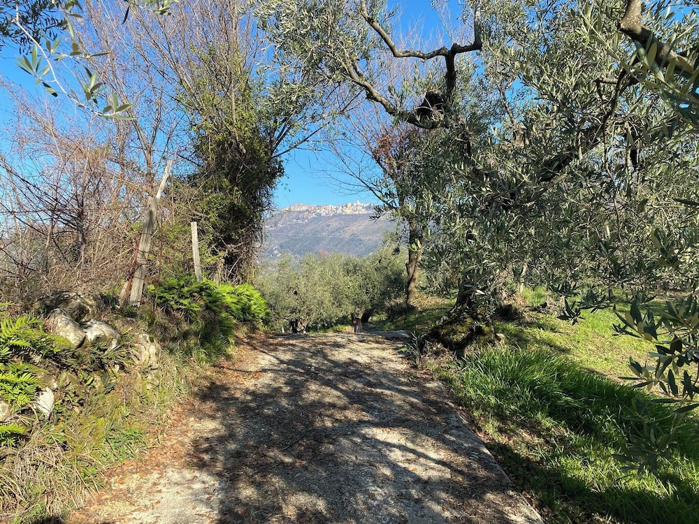 Hillside Home With Fantastic View - 7 Beds - Only 1h From Rome