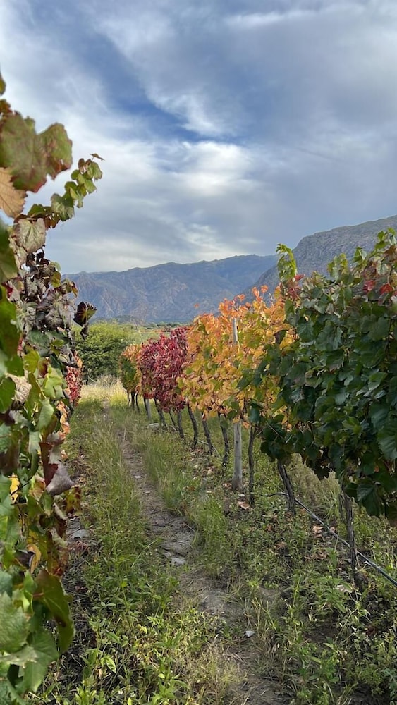 Piattelli Wine Resort