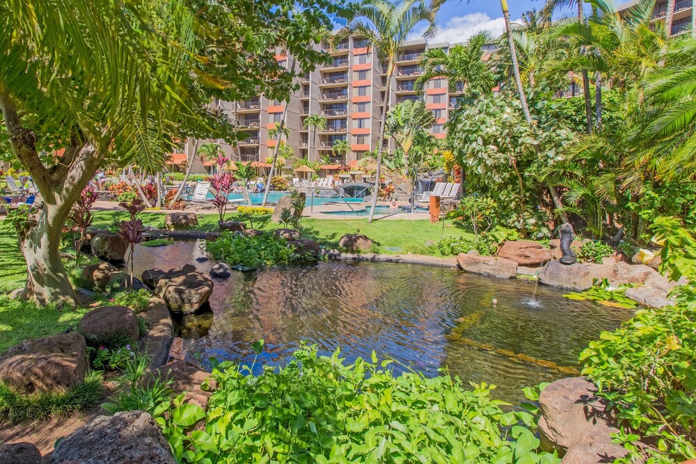 Kaanapali Shores 432 Studio Condo Condo