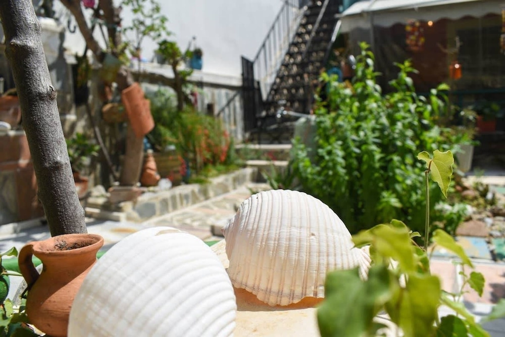 Urban Seaside Oasis - Adriana s Garden Paradise