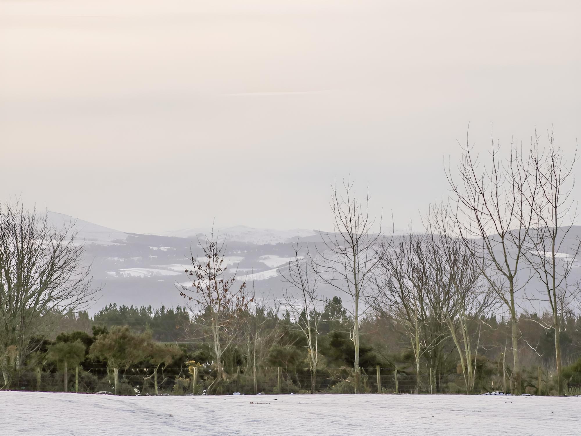 The Bothy view 4