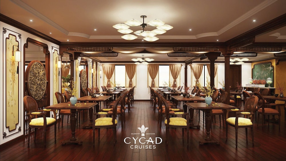 Cycad Cruise
