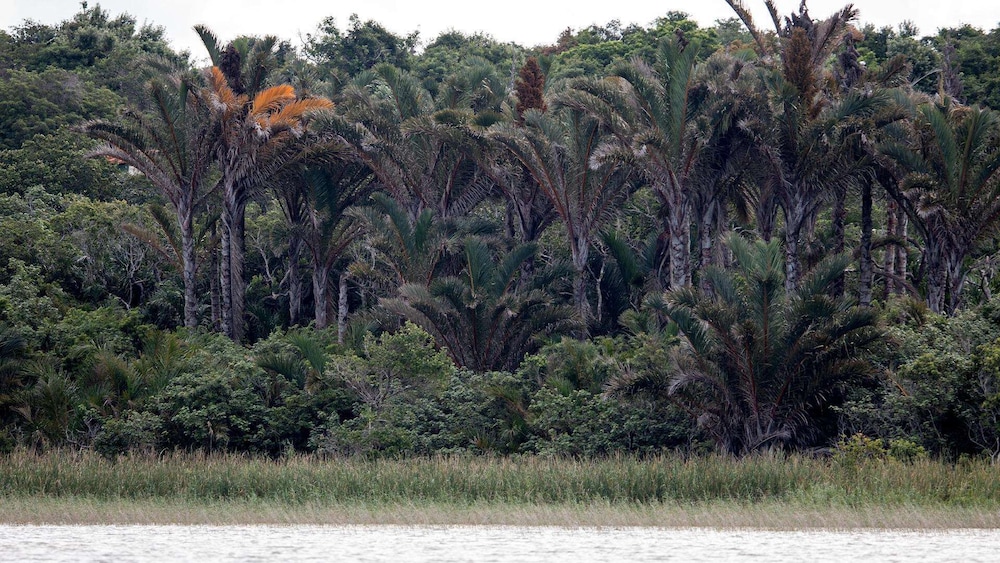 Royal Thonga Safari Lodge