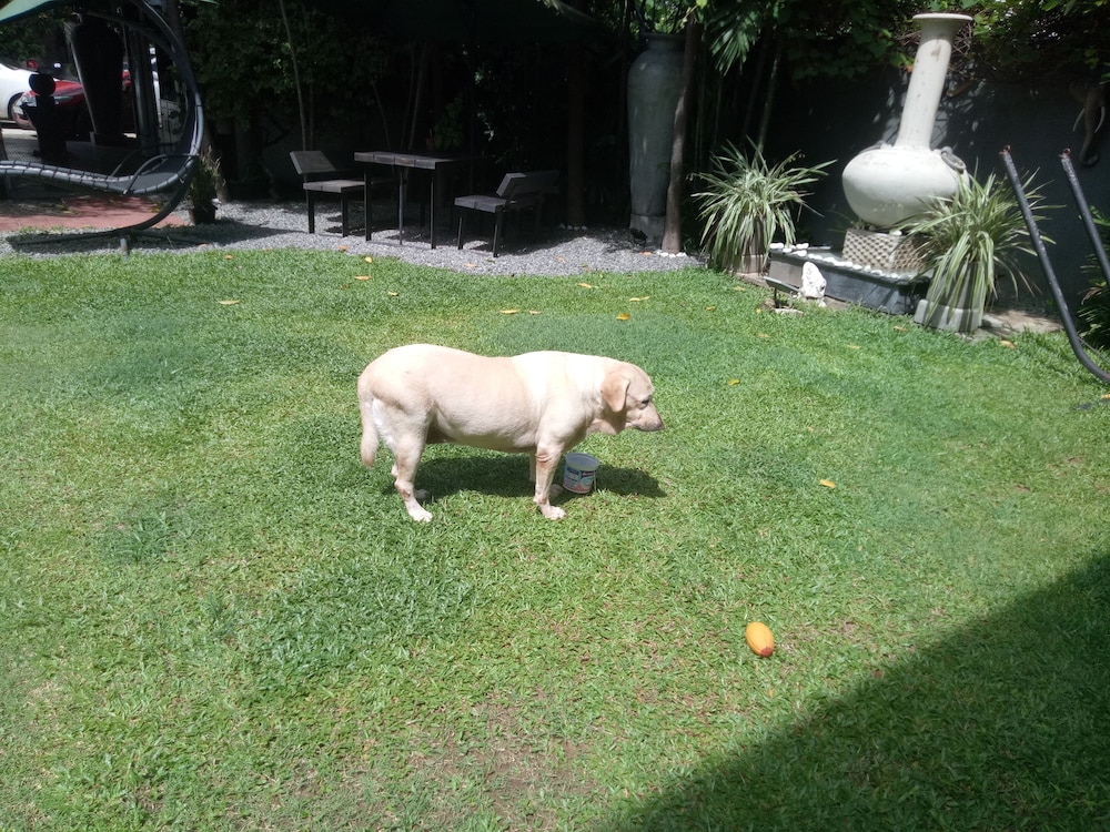 Photo 48