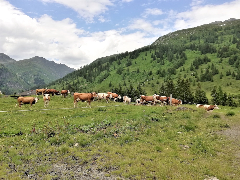 Pension Posauner Dorfgastein