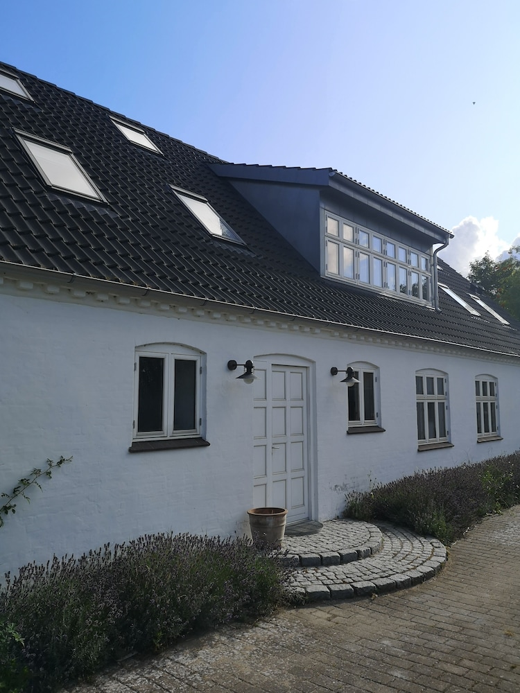 Photo 41