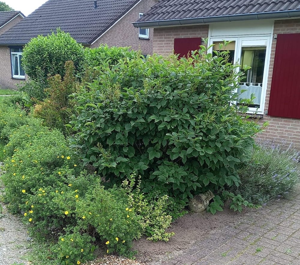 Photo 28