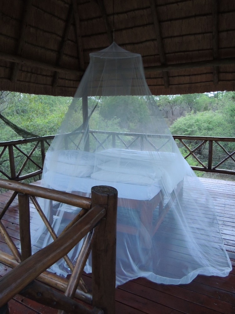 Lion Tree Bush Lodge