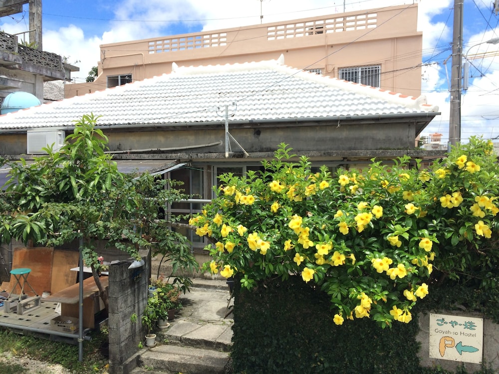 Photo 21