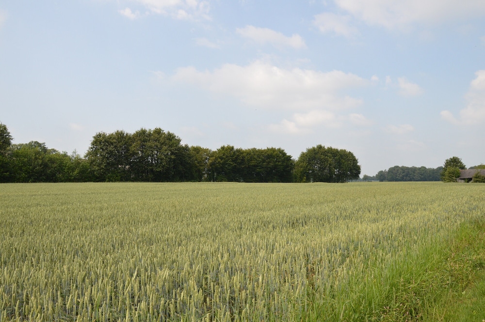 Romantic Farmhouse Escape view 3