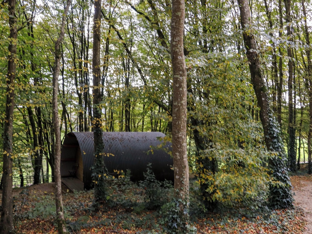 Ballybeg Pod 10