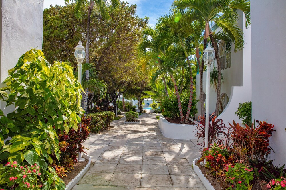 Paradise Island Beach Club