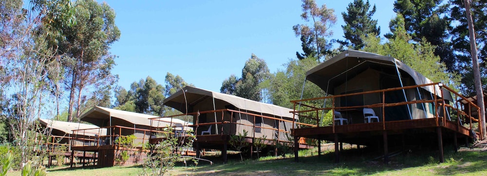 Tri Active Lodge