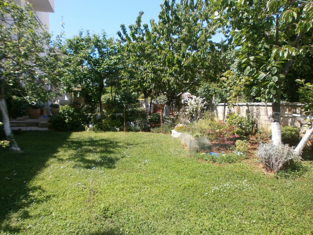 Photo 44