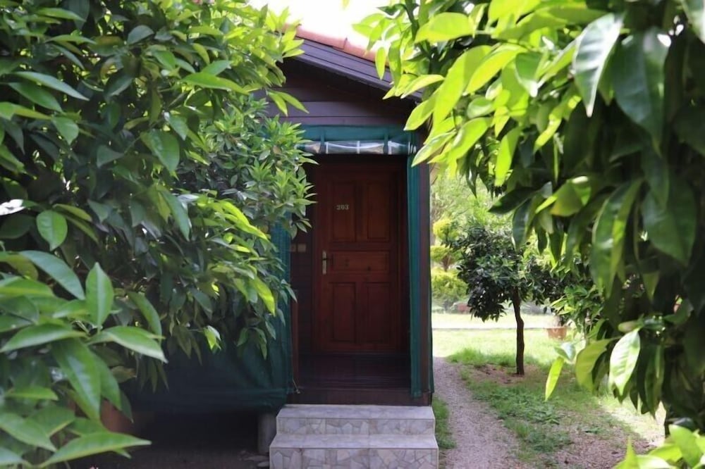 Photo 34