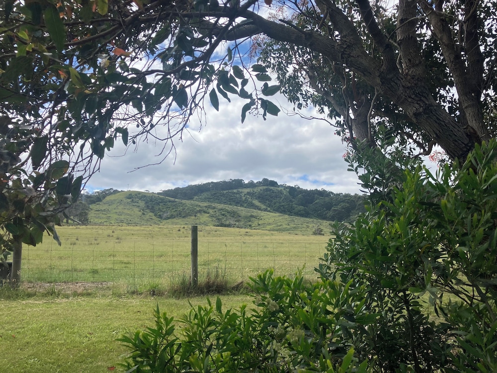 61 OCEAN ROAD MOTEL