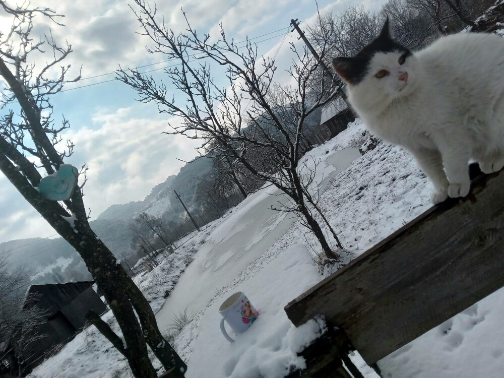 Photo 28
