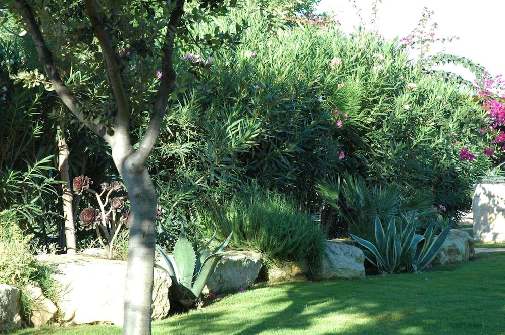 Alimede Ecodimora