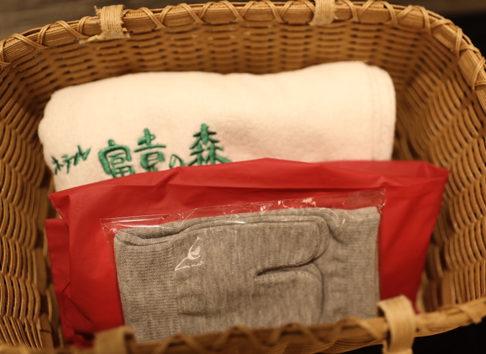 Hotel Fukinomori, Nagiso - 17