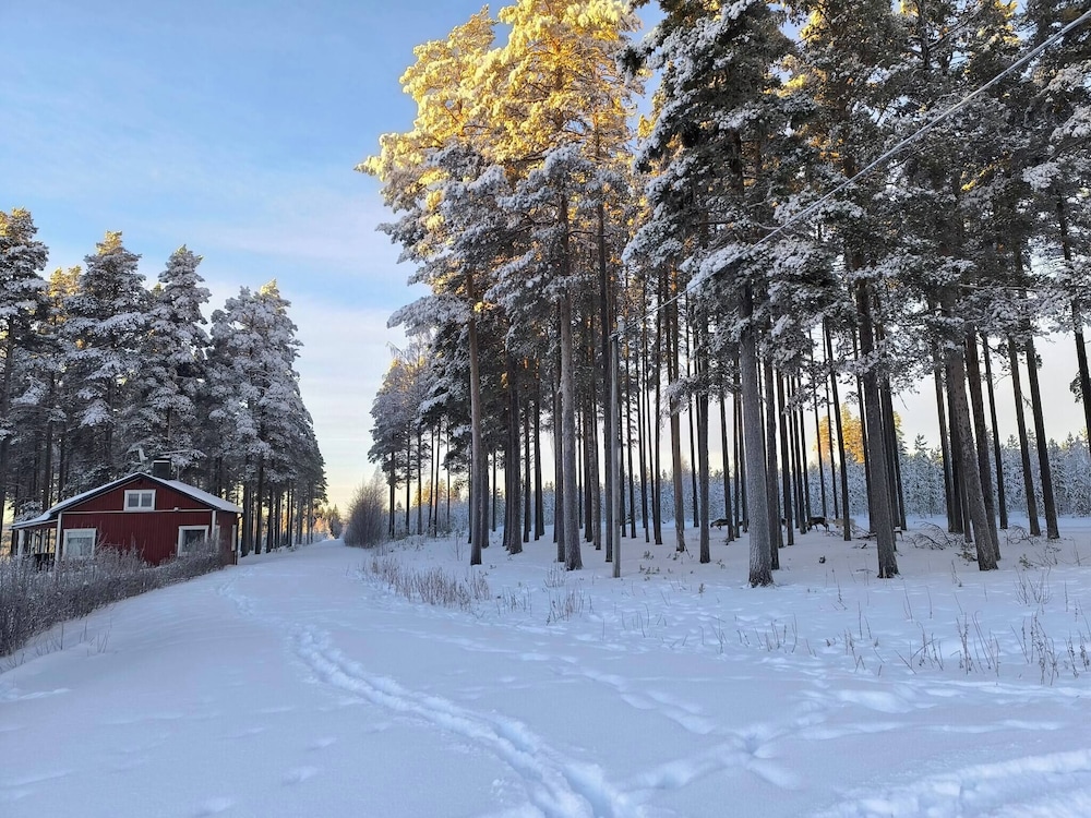 Lapland Pure Nature and More!